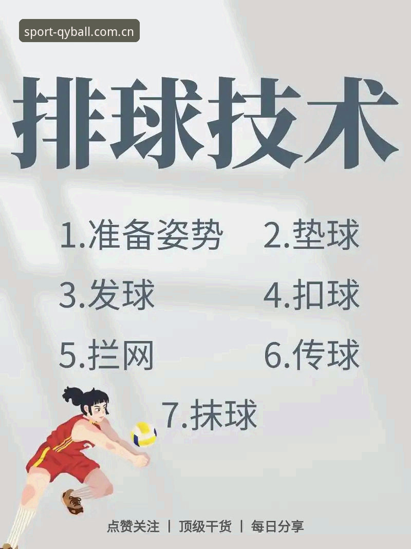 新手如何快速掌握qyball使用教程？这些细节值得留意
